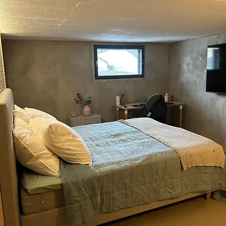 Апартаменты Large House - Sauna, Backyard & Tranquility