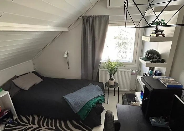 Large House - Sauna, Backyard & Tranquility Helsingfors