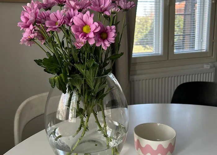 Large House - Sauna, Backyard & Tranquility 公寓 赫尔辛基